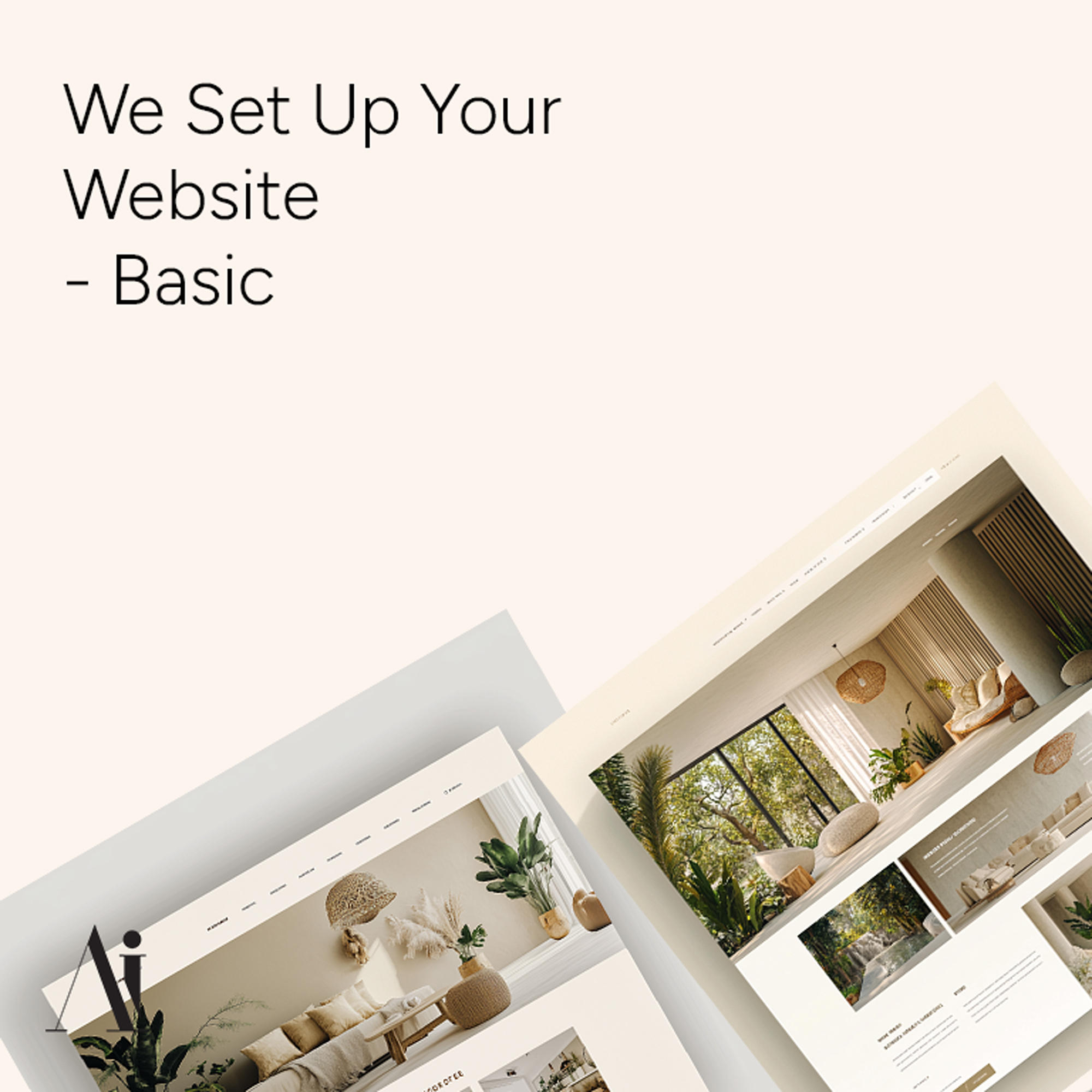 We Set Up Your Website - Basic